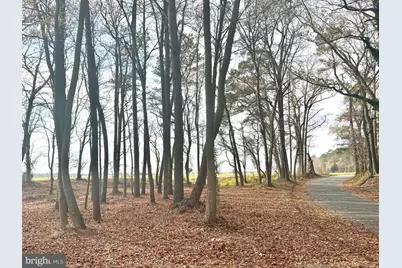 0 Cottman Road, Allen, MD 21810 - Photo 11