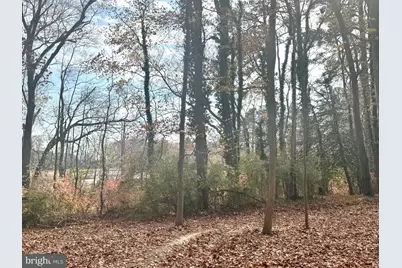 0 Cottman Road, Allen, MD 21810 - Photo 17