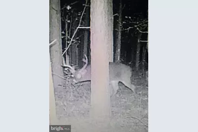 0 Cottman Road, Allen, MD 21810 - Photo 15