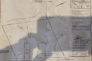 6431 Powellville Rd, Willards, MD 21874 - Photo 15