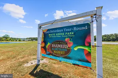 22 Rabbit Run Lane, Ocean Pines, MD 21811 - Photo 49