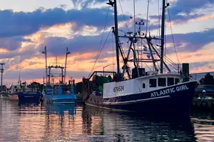 12623 Shell Mill Rd, Bishopville, MD 21813 - Photo 69