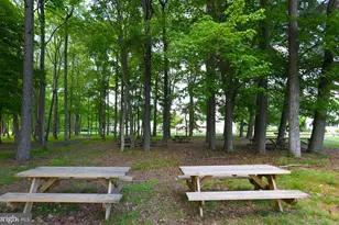 438 Ocean Pkwy, Ocean Pines, MD 21811 - Photo 57