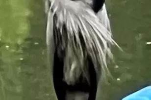 8339 S Longboat Way, Berlin, MD 21811 - Photo 89