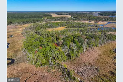 163 Hall Road, Pocomoke City, MD 21851 - Photo 105