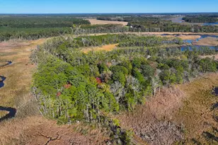 163 Hall Rd, Pocomoke City, MD 21851 - Photo 105