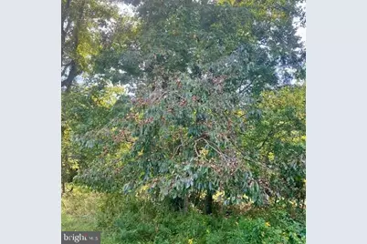 163 Hall Road, Pocomoke City, MD 21851 - Photo 123