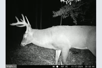 163 Hall Road, Pocomoke City, MD 21851 - Photo 7