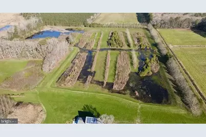 163 Hall Road, Pocomoke City, MD 21851 - Photo 111