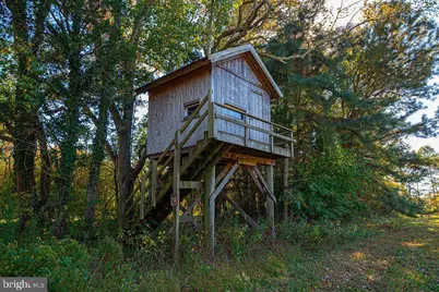 163 Hall Road, Pocomoke City, MD 21851 - Photo 81