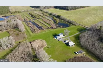 163 Hall Road, Pocomoke City, MD 21851 - Photo 109