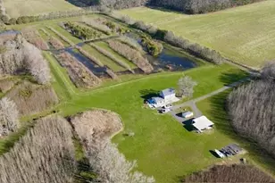 163 Hall Rd, Pocomoke City, MD 21851 - Photo 109