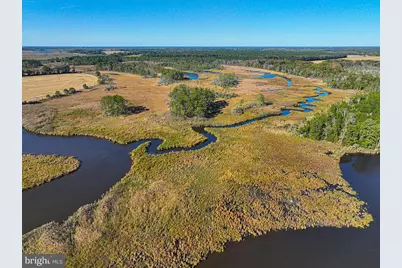 163 Hall Road, Pocomoke City, MD 21851 - Photo 99