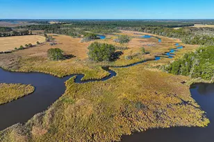 163 Hall Rd, Pocomoke City, MD 21851 - Photo 99