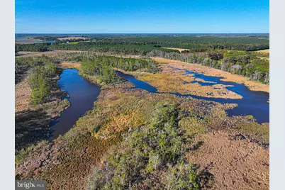 163 Hall Road, Pocomoke City, MD 21851 - Photo 101