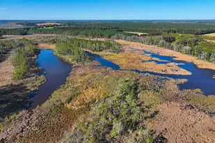 163 Hall Rd, Pocomoke City, MD 21851 - Photo 101