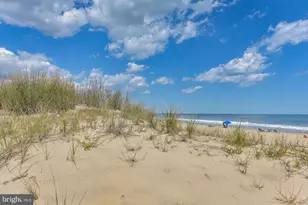 8 36th St, Ocean City, MD 21842 - Photo 33