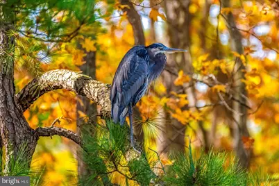 101 Mumfords Landing Road, Ocean Pines, MD 21811 - Photo 105