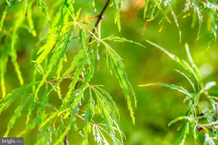 101 Mumfords Lndg Rd, Ocean Pines, MD 21811 - Photo 103