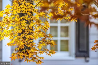 101 Mumfords Landing Road, Ocean Pines, MD 21811 - Photo 93