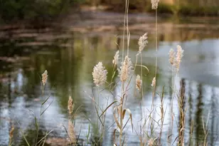 101 Mumfords Lndg Rd, Ocean Pines, MD 21811 - Photo 91