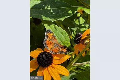 12412 Windlass Way, Berlin, MD 21811 - Photo 85