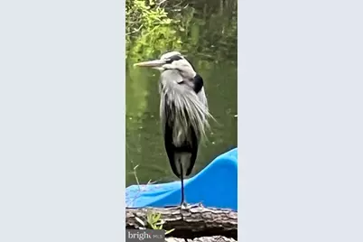 12412 Windlass Way, Berlin, MD 21811 - Photo 97