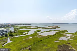 121 81st St, Ocean City, MD 21842 - Photo 53