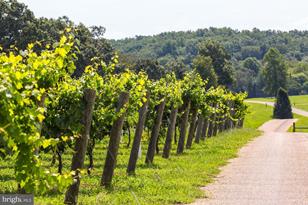 510 Mt Pleasant Farm Rd, Scottsville, VA 24590 - Photo 23