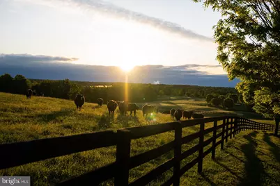 6887 Blenheim Road, Scottsville, VA 24590 - Photo 3