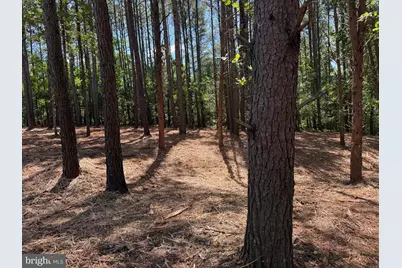 0 Old Green Mountain Rd, Esmont, VA 22937 - Photo 13