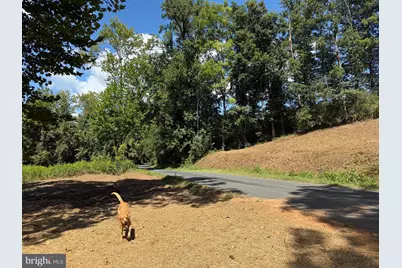 0 Old Green Mountain Rd, Esmont, VA 22937 - Photo 29