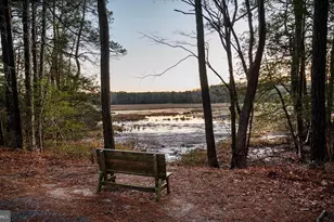 Lot 1074 Amidship Dr, Greenbackville, VA 23356 - Photo 29