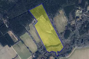 26355 Mt Nebo Rd, Onancock, VA 23417 - Photo 5