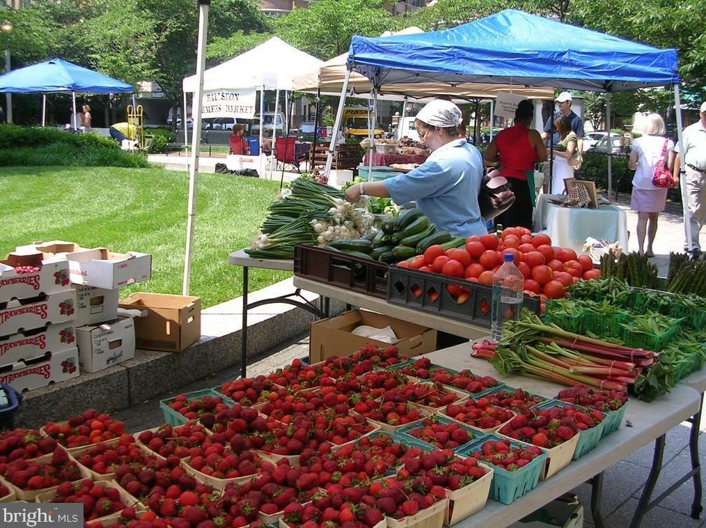 1140 Vernon St, Arlington VA  22201-5756 exterior