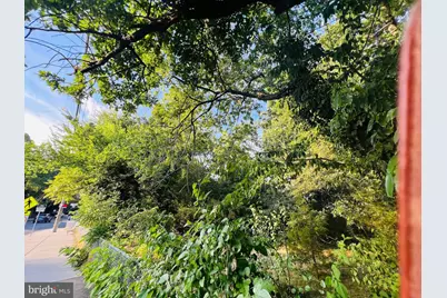 2810 5th Street S, Arlington, VA 22204 - Photo 9