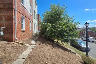 3723 Kemper Rd, Arlington, VA 22206 - Photo 17