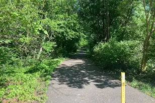 5055 26th Rd N, Arlington, VA 22207 - Photo 39