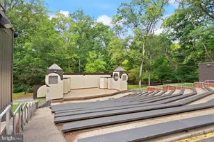 217 N Emerson St, Arlington, VA 22203 - Photo 47