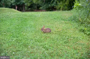 5300 Columbia Pike, Arlington, VA 22204 - Photo 45