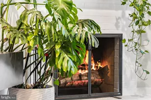 907 S Rolfe St, Arlington, VA 22204 - Photo 7