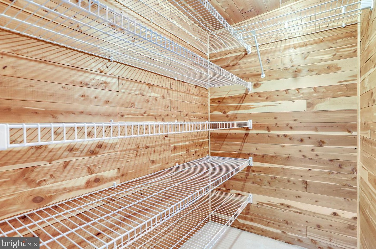 1321 Bayliss Dr, Alexandria VA 22302-3510 exterior