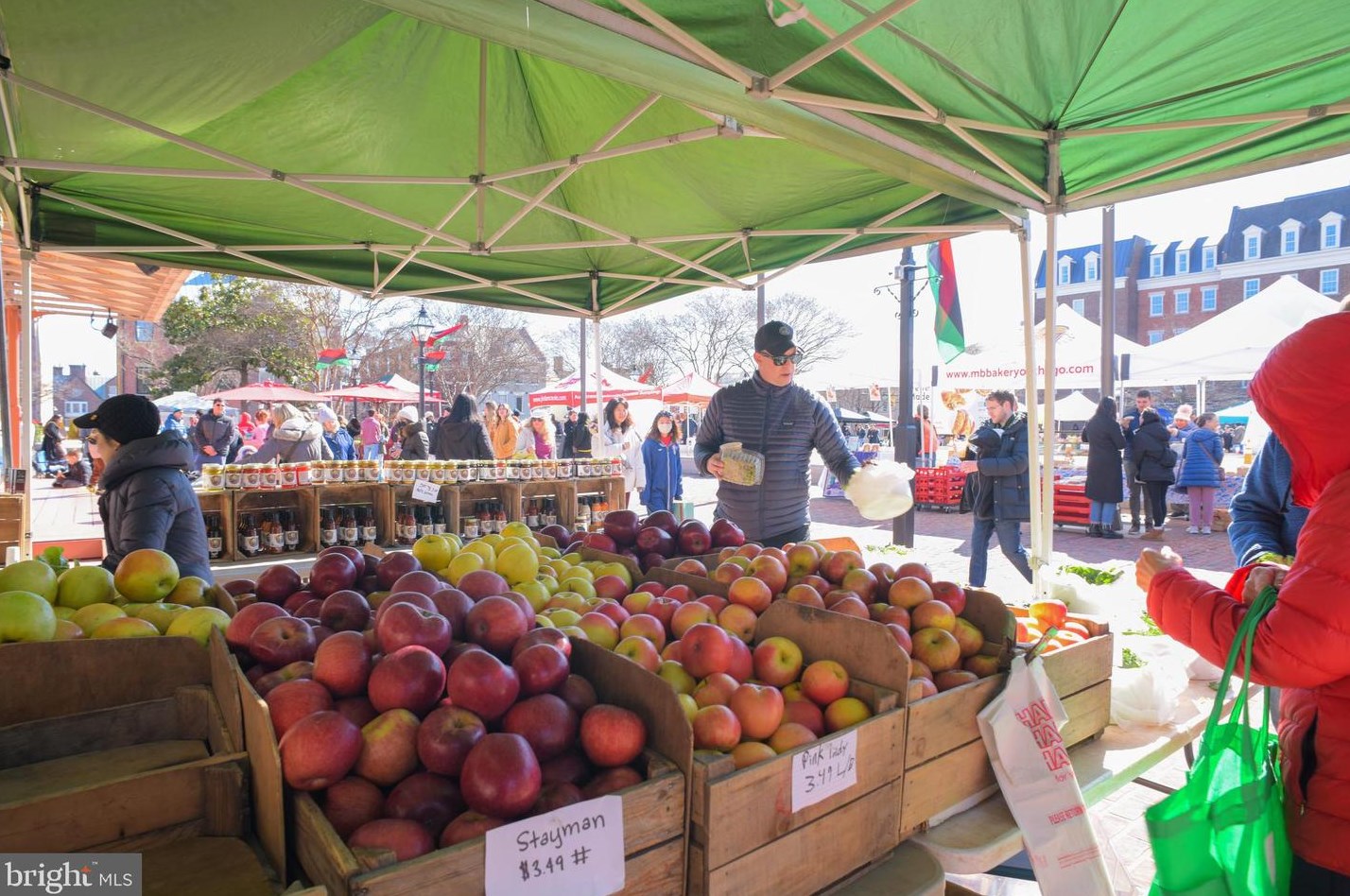 204 Green St, Alexandria VA  22314-4316 exterior