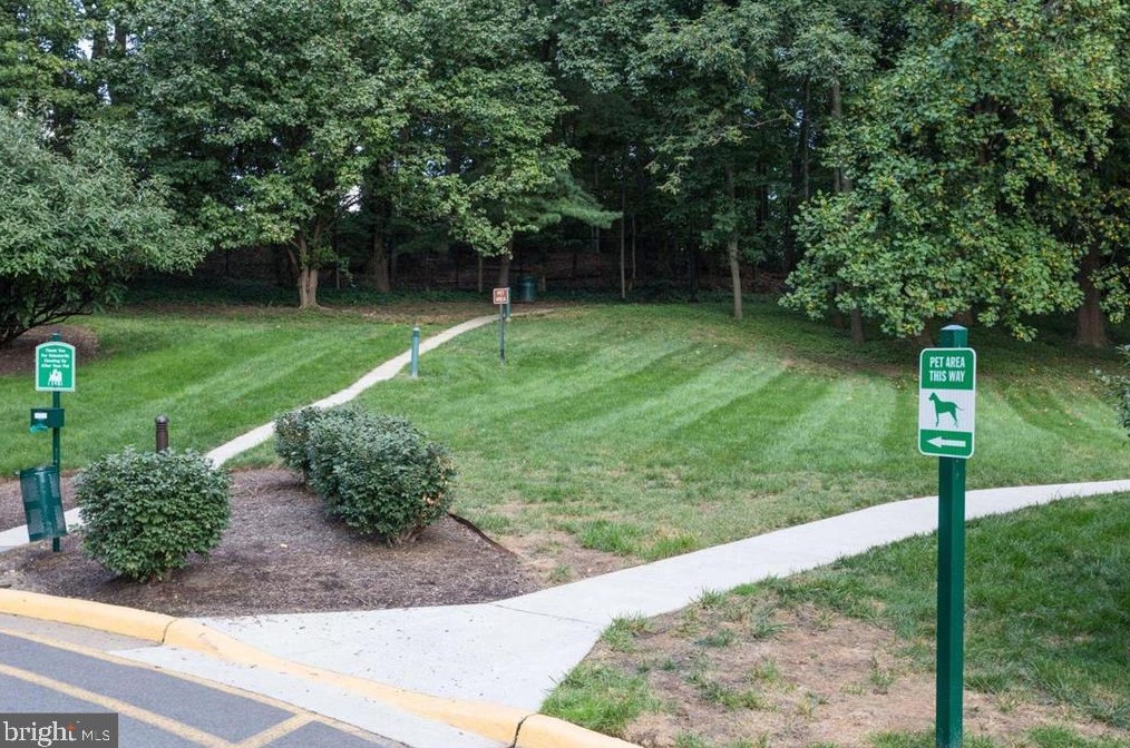 203 Yoakum Pkwy, Alexandria VA 22304-3753 exterior