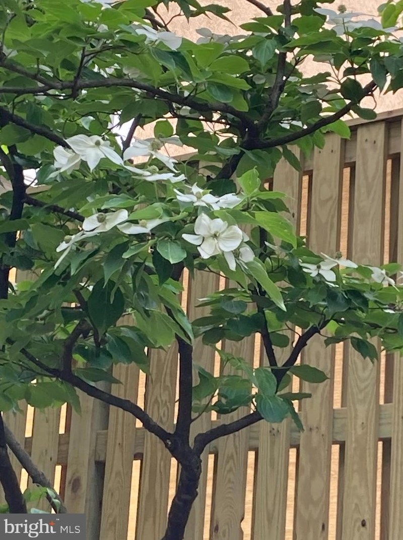 3819 White Post Ct, Alexandria VA 22304-6357 exterior