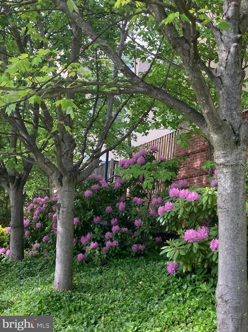 3819 White Post Ct, Alexandria VA 22304-6357 exterior