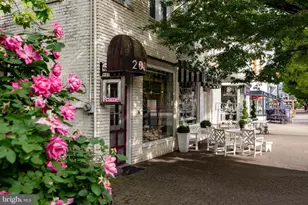 216 Duncan Ave, Alexandria, VA 22301 - Photo 65