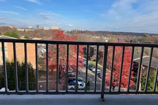 431 Armistead St, Alexandria, VA 22312 - Photo 13