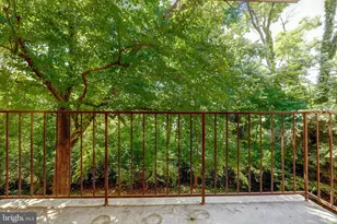 6250 Edsall Rd, Alexandria, VA 22312 - Photo 3