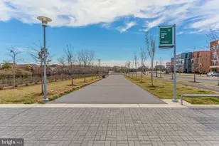 523 Duncan Ave, Alexandria, VA 22301 - Photo 43